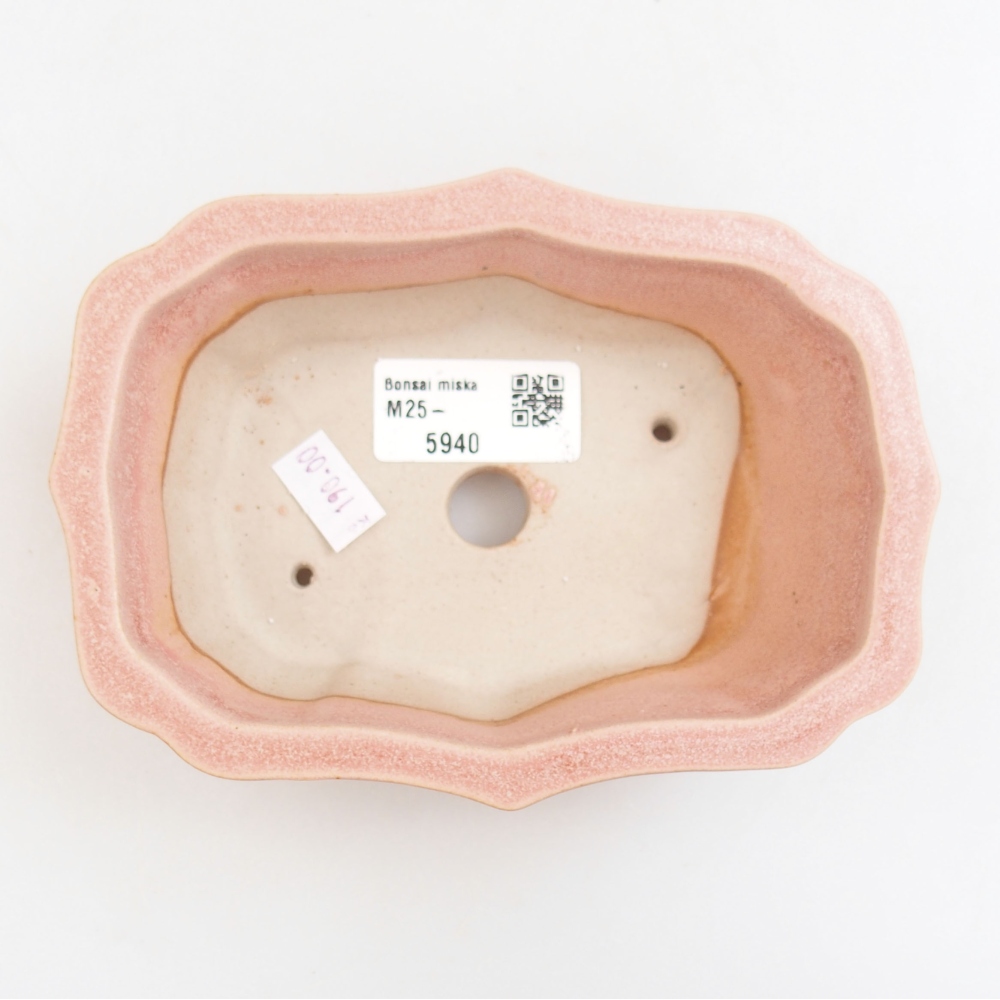 Bol à bonsaï en céramique 22 x 17 x 5 cm, vert