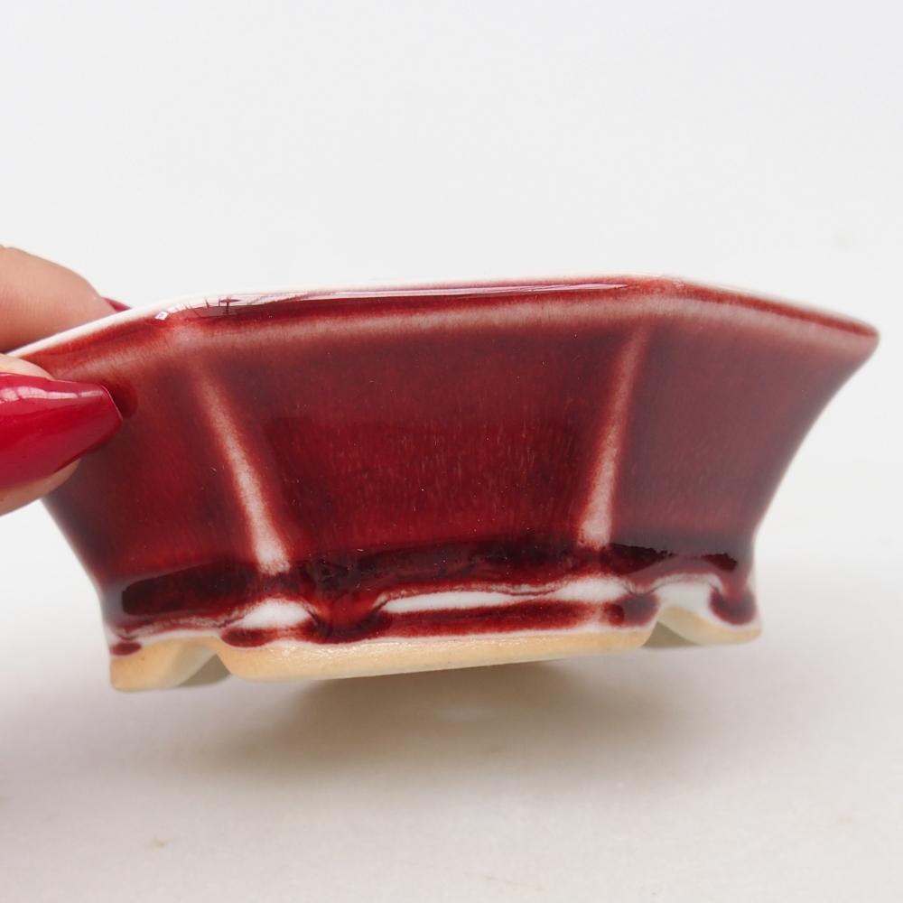 Mini bol bonsaï 11 x 10 x 3,5 cm, couleur rouge
