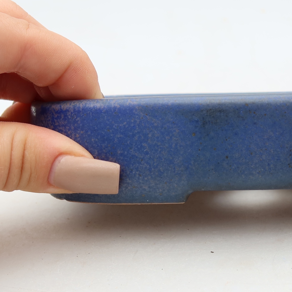 Bol à bonsaï en céramique 16 x 11 x 3,5 cm, couleur bleu