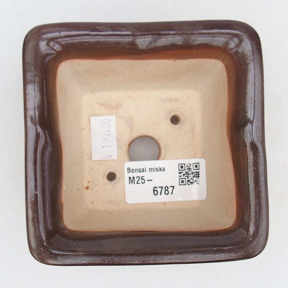 Bol à bonsaï en céramique 10 x 10 x 6 cm, bordeaux