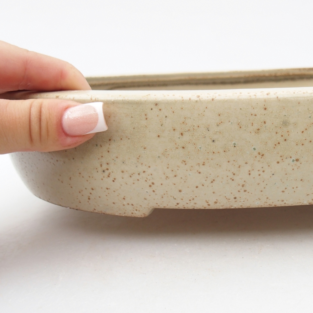 Bol à bonsaï en céramique 27 x 21 x 5,5 cm, couleur beige