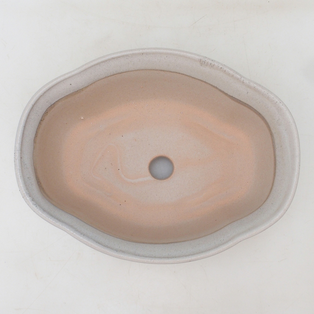 Coupe bonsaï H75 - 19 x 14 x 6,5 cm - beige