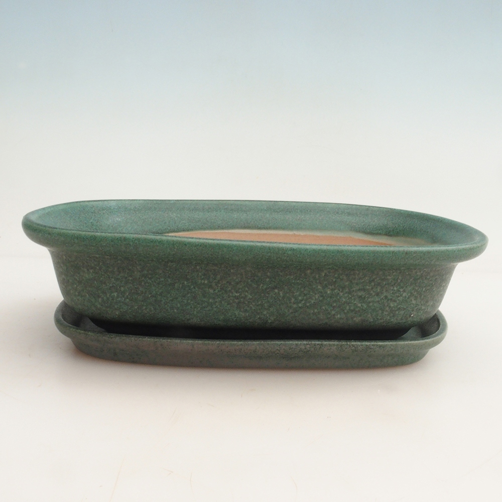 Coupe Bonsaï + soucoupe H25 - 23 x 17 x 5,5 cm.