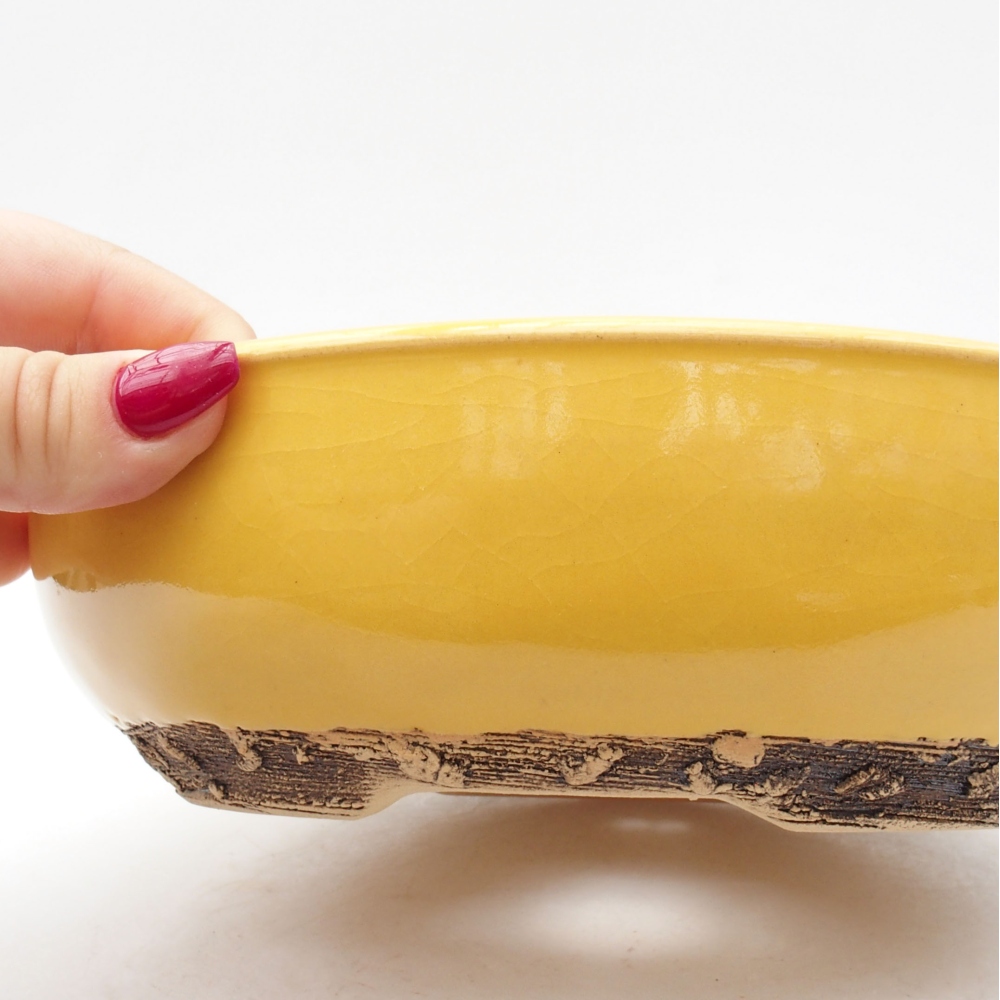 Bol à bonsaï en céramique 20,5 x 20,5 x 6 cm, jaune