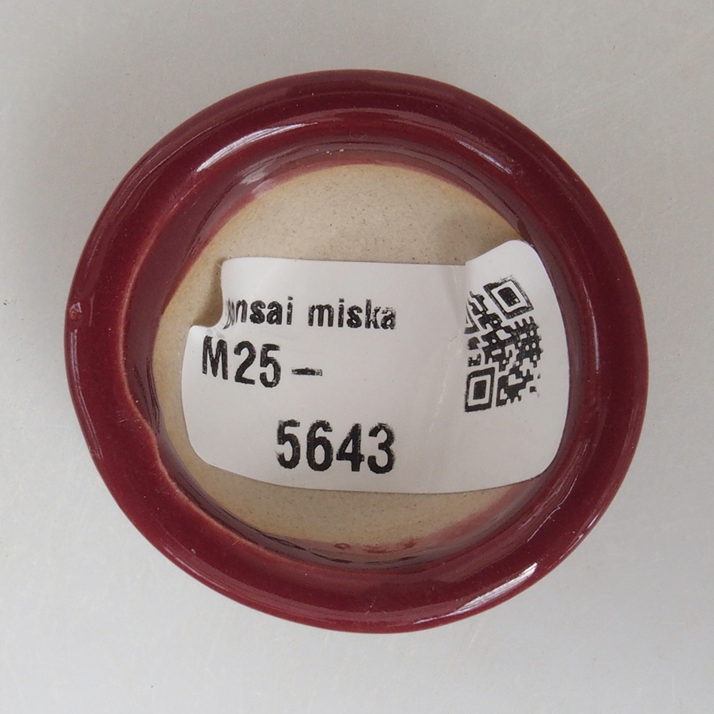 Mini bol bonsaï 4 x 4 x 2 cm, bordeaux