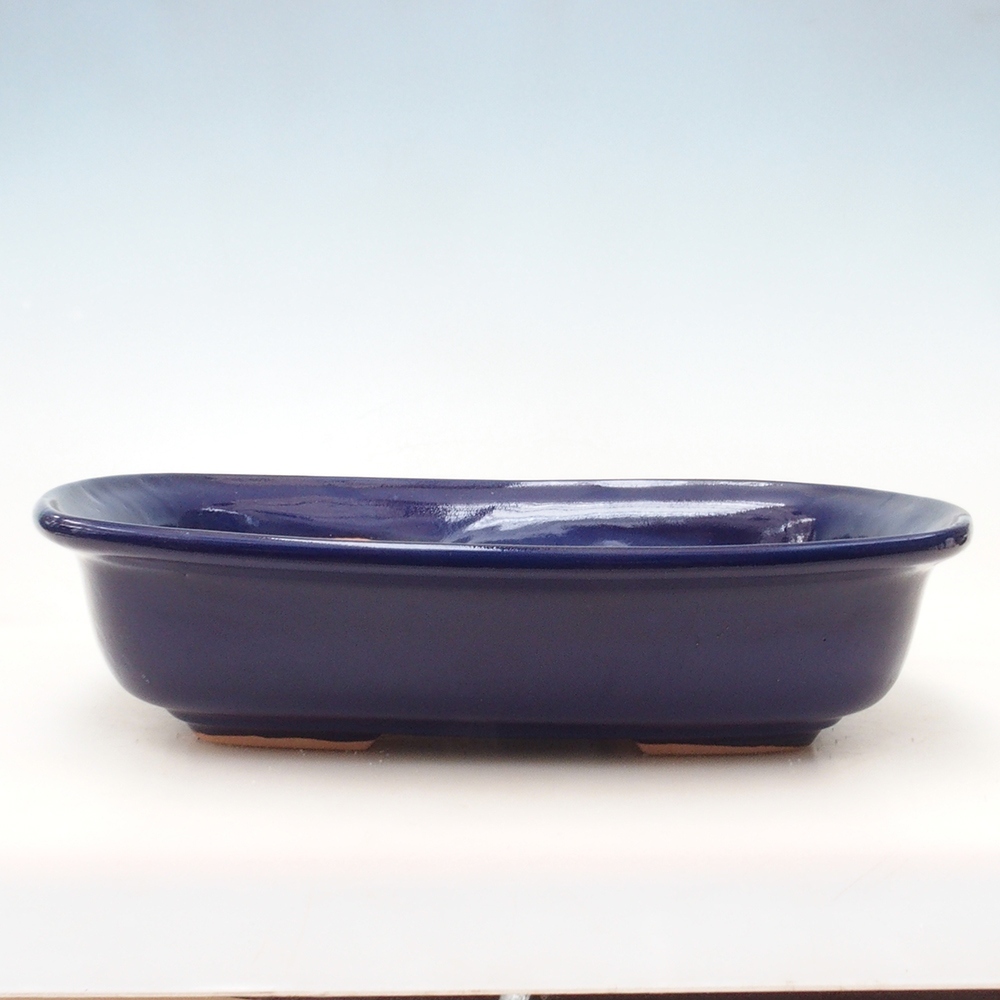 Coupe bonsaï H10 - 37 x 28 x 9 cm - bleu