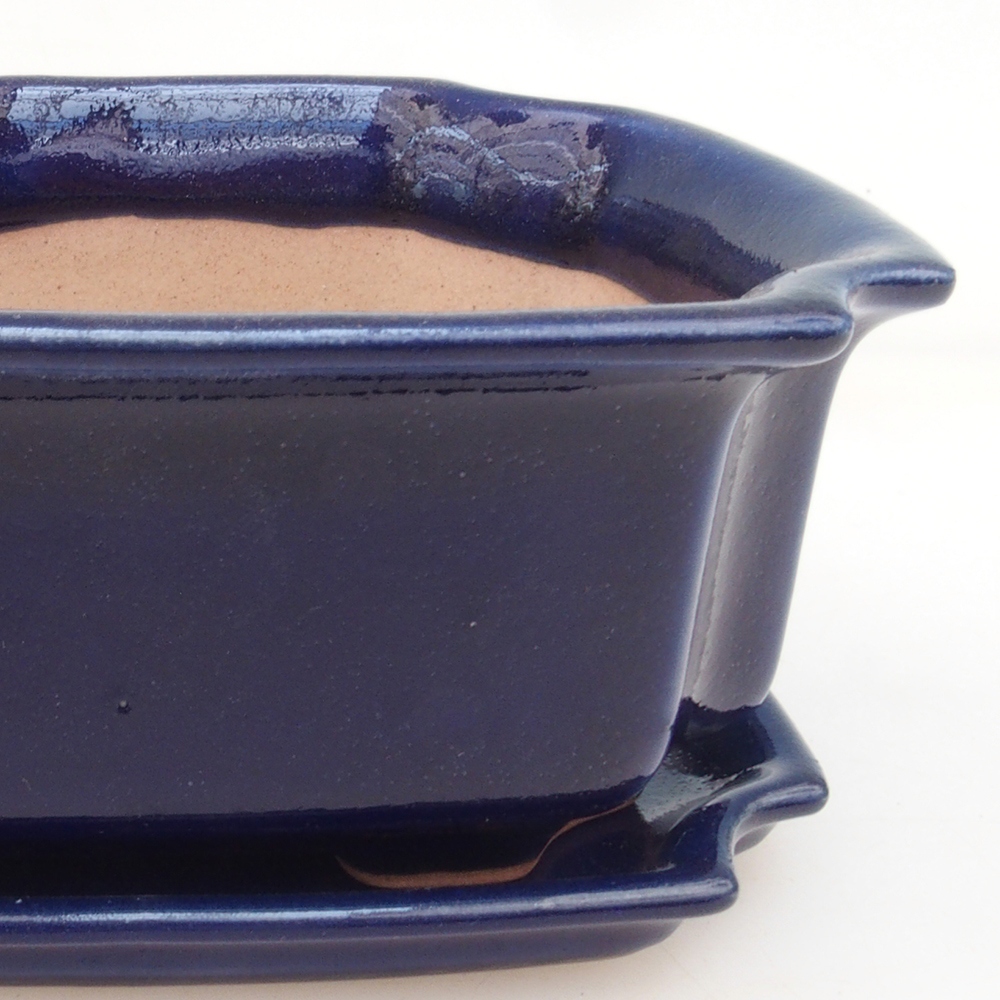 Bol Bonsaï + soucoupe H01 - bleu