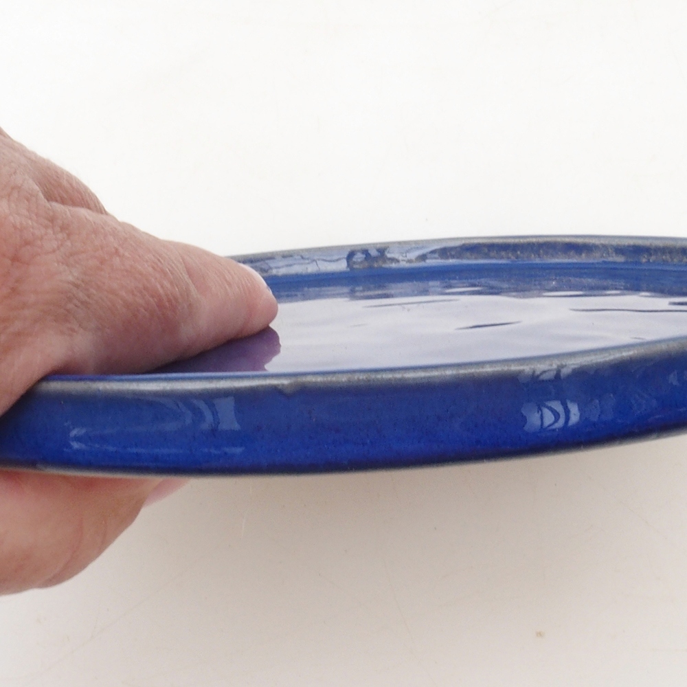 Récipient rond pour bonsaïs D7-S - 16 x 16 x 1 cm - bleu