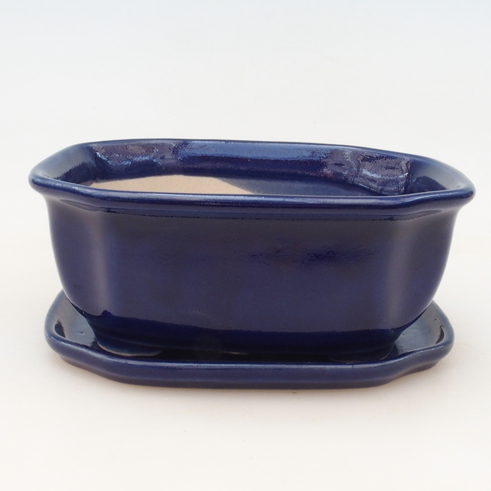 Bol Bonsaï + soucoupe H32 - bleu