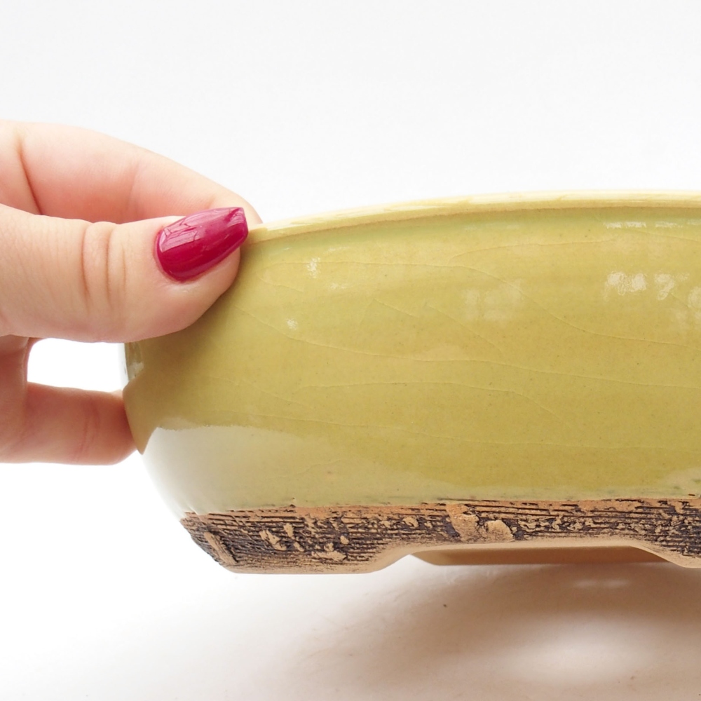 Bol à bonsaï en céramique 20 x 20 x 5,5 cm, vert