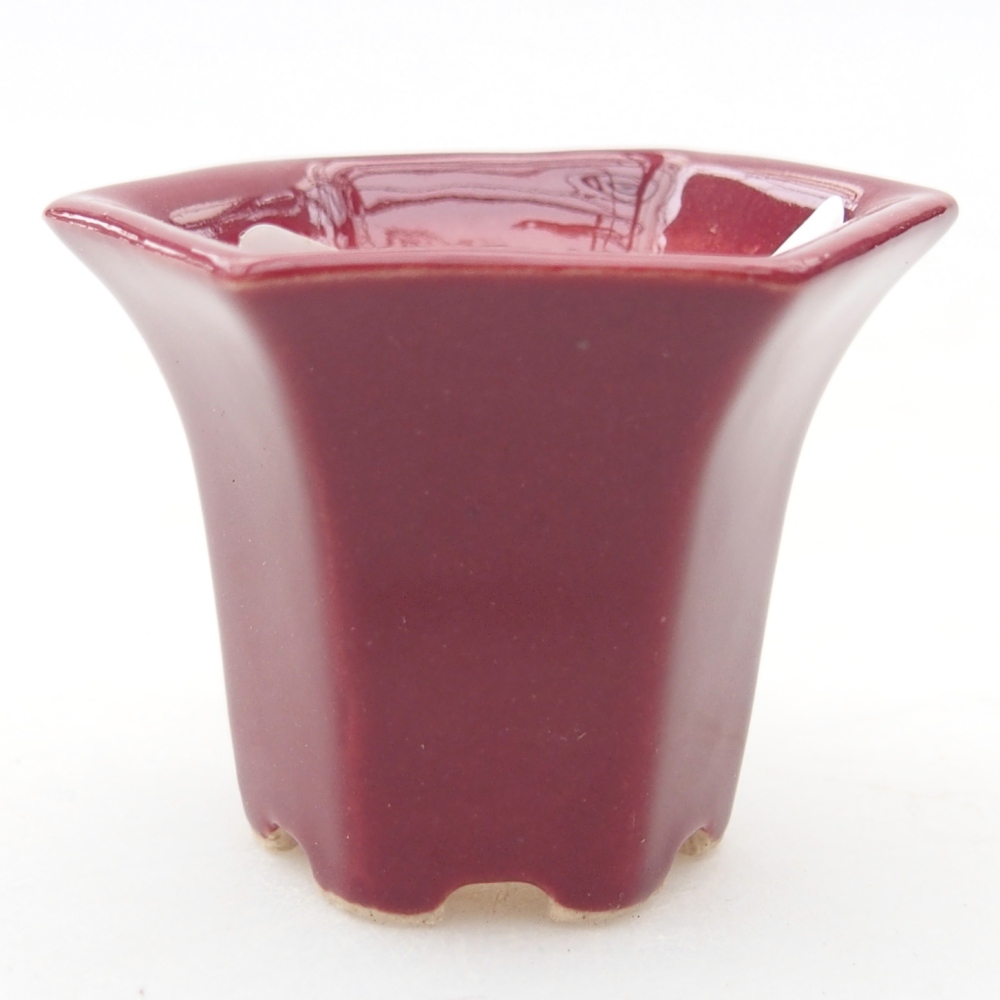Mini bol bonsaï 4 x 4 x 3,5 cm, bordeaux