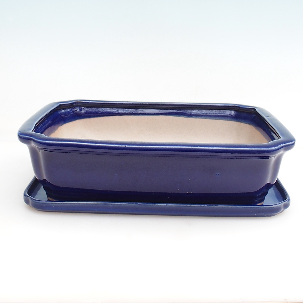 Bol Bonsaï + soucoupe H07 - 30 x 20,5 x 8 cm.