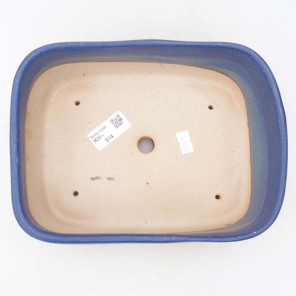 Bol à bonsaï en céramique 23 x 17 x 7,5 cm, couleur bleu