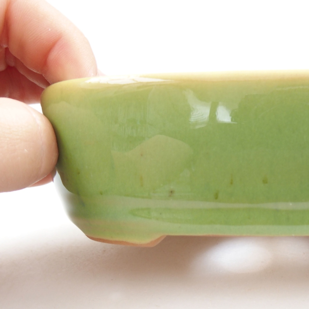 Bol à bonsaï en céramique 22 x 17 x 5 cm, vert