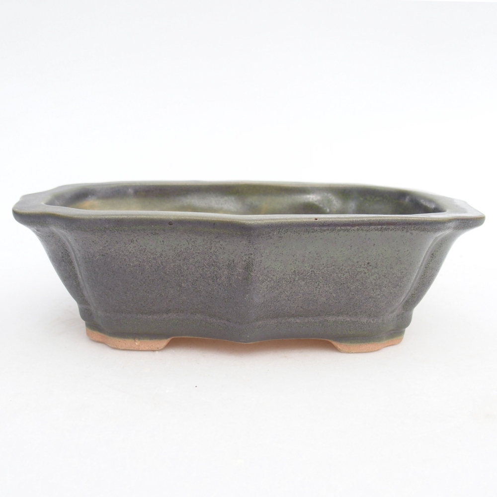 Bol à bonsaï en céramique 15,5 x 11,5 x 4,5 cm, vert