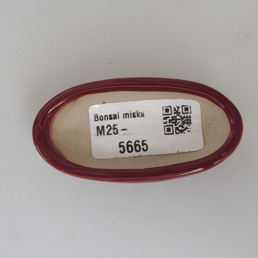 Mini bol bonsaï 7 x 3 x 2 cm, bordeaux