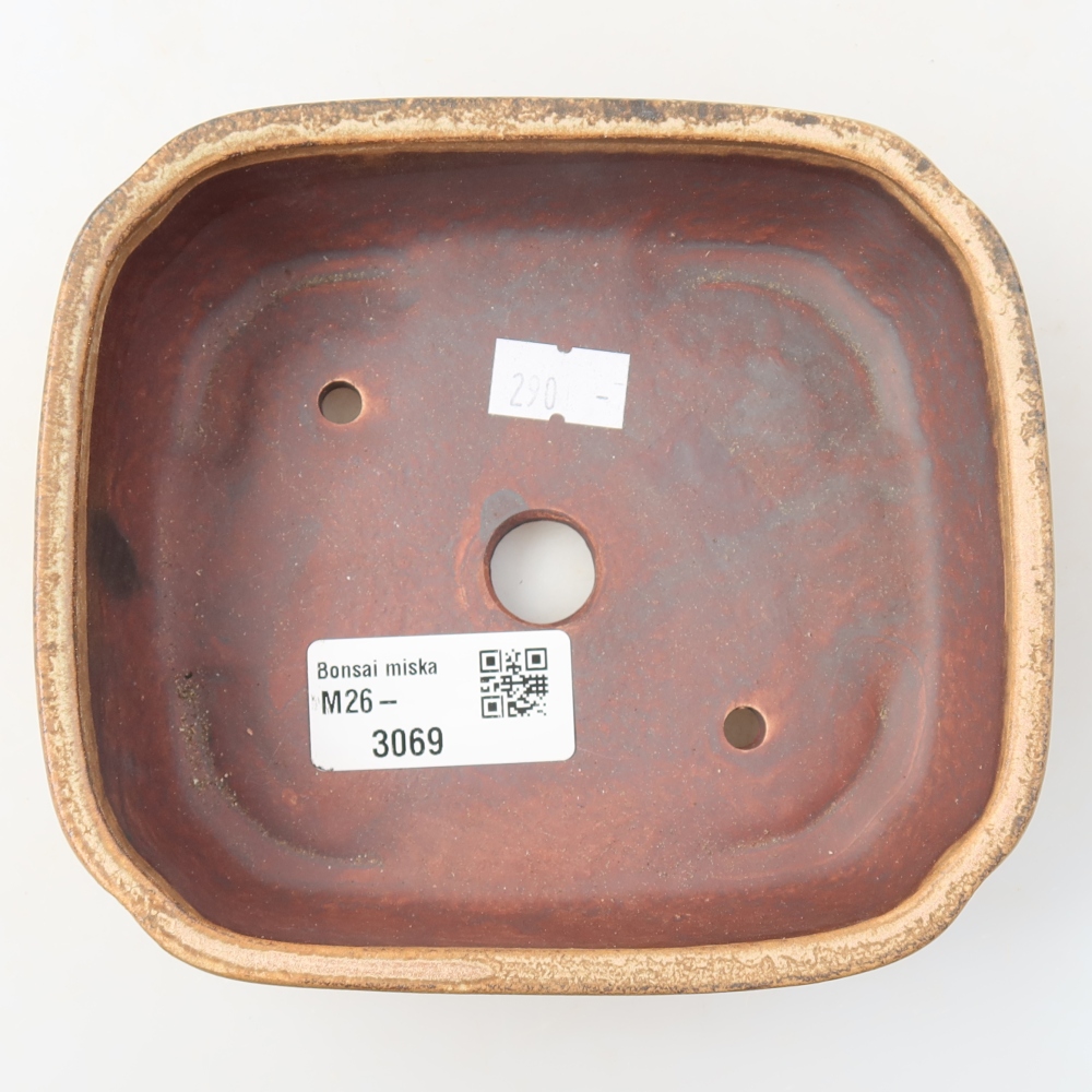 Pot à bonsaï en céramique 13,5 x 12 x 4 cm, couleur beige