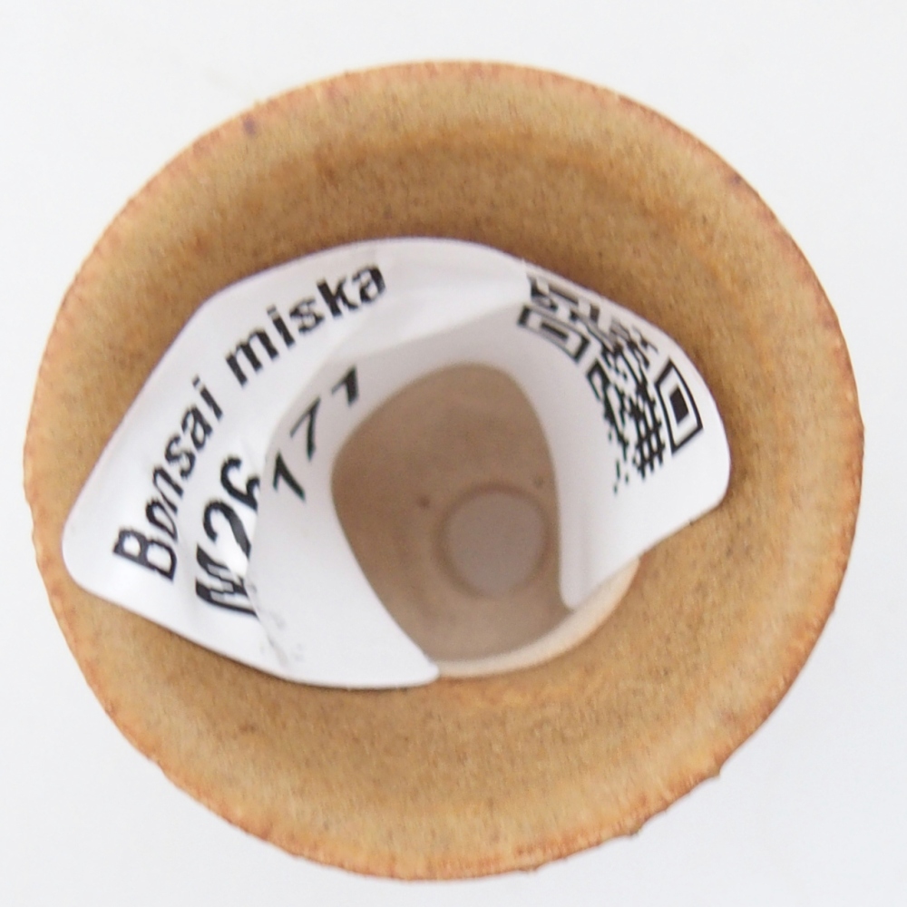 Mini bol à bonsaï 3 x 3 x 3,5 cm, brun
