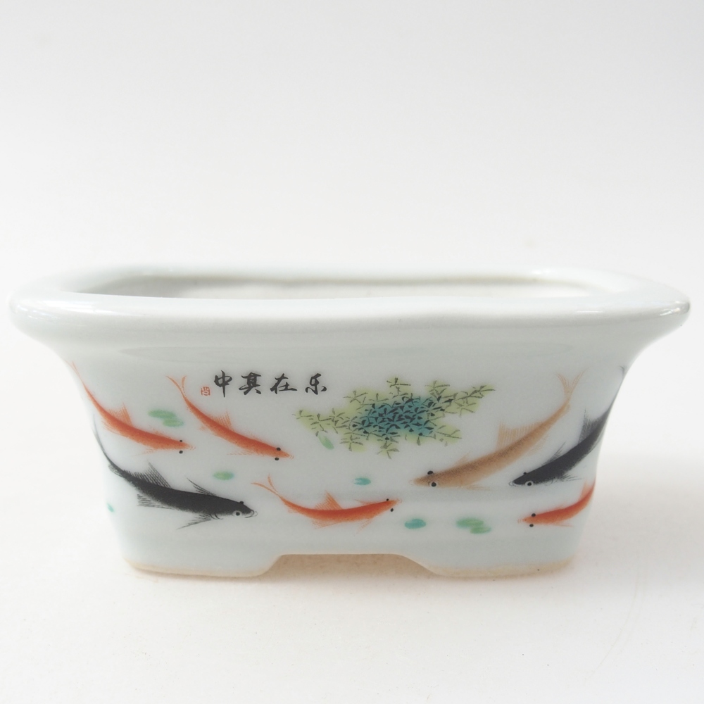 Mini bol bonsaï 10 x 7,5 x 4 cm, couleur blanc