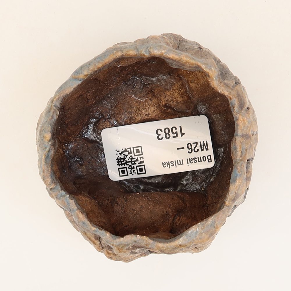 Coquille en céramique  6 x 5,5 x 5 cm , couleur bleue