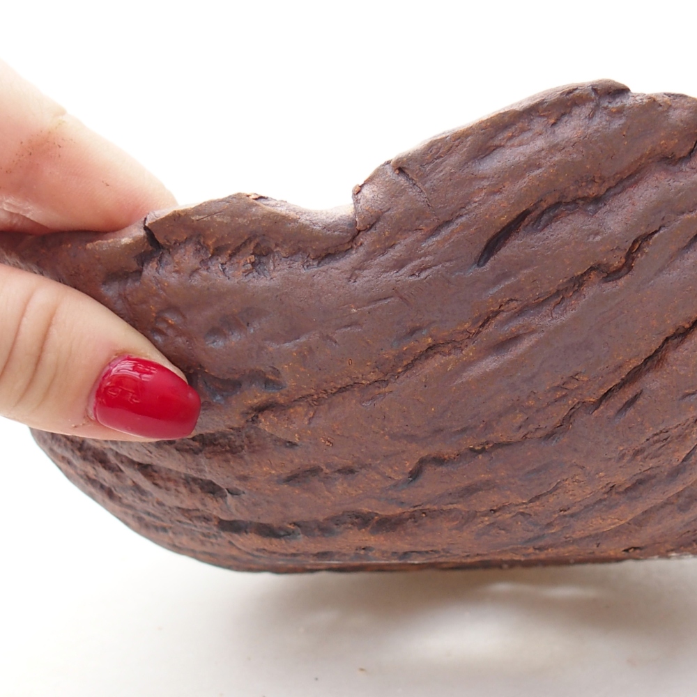 Coquille en céramique 19 x 17 x 7 cm , couleur marron