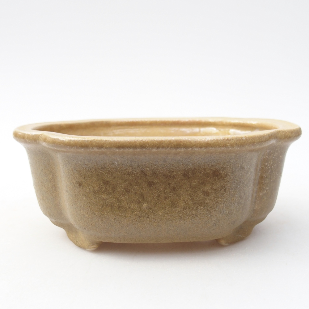 Bol à bonsaï en céramique 13 x 10 x 5 cm, couleur beige
