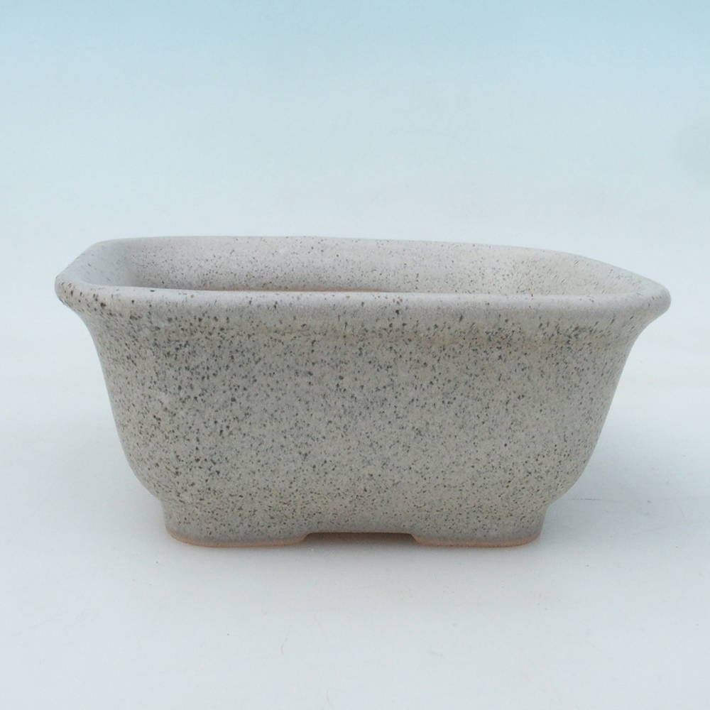 Coupe bonsaï H37 - 14,5 x 13 x 6,5 cm - beige