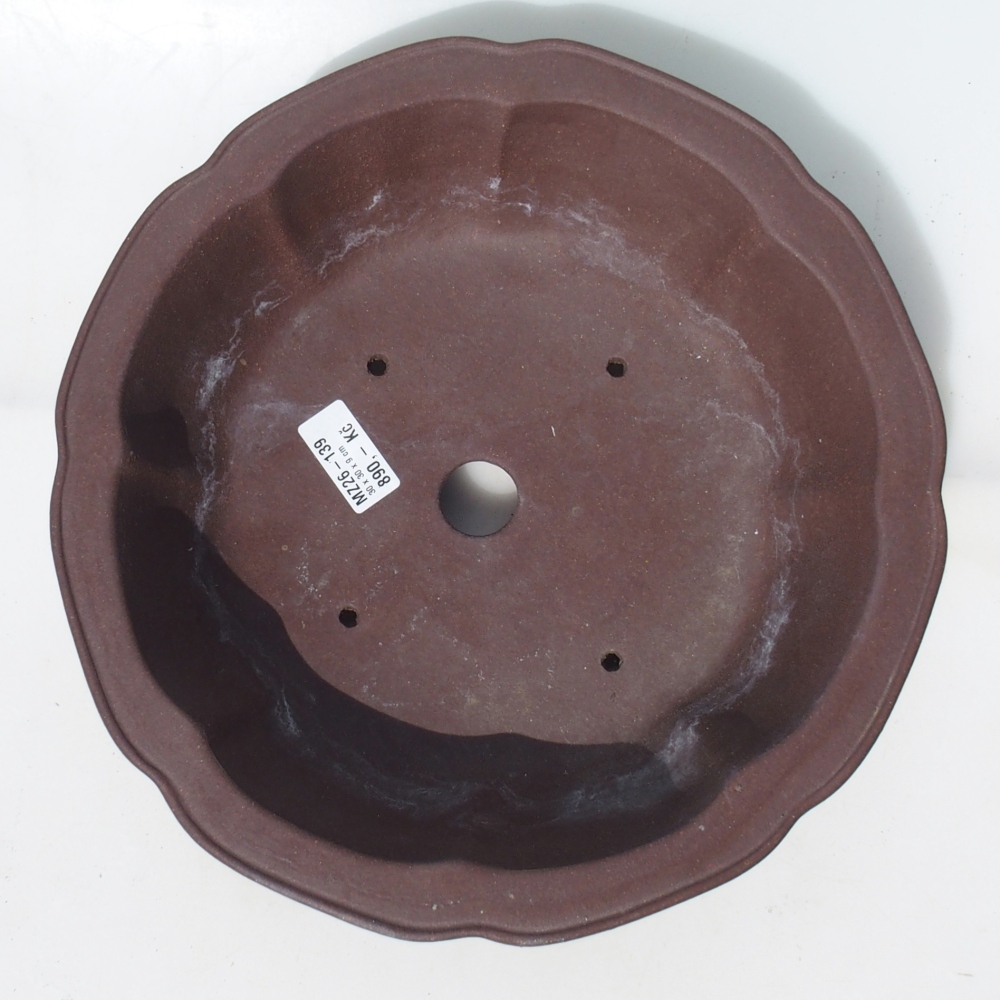 Bol pour bonsaï 30 x 30 x 9 cm bouleau brun