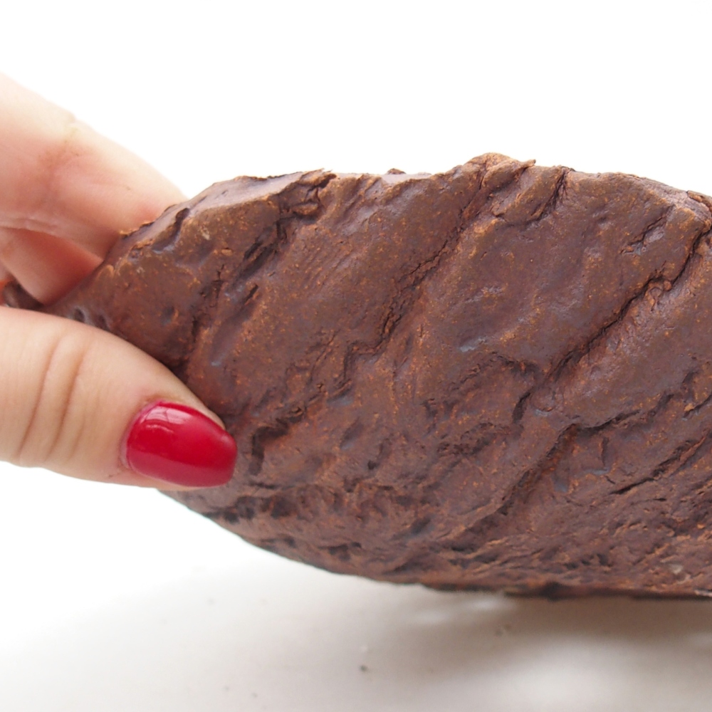 Coquille en céramique 19 x 17 x 5 cm , couleur marron