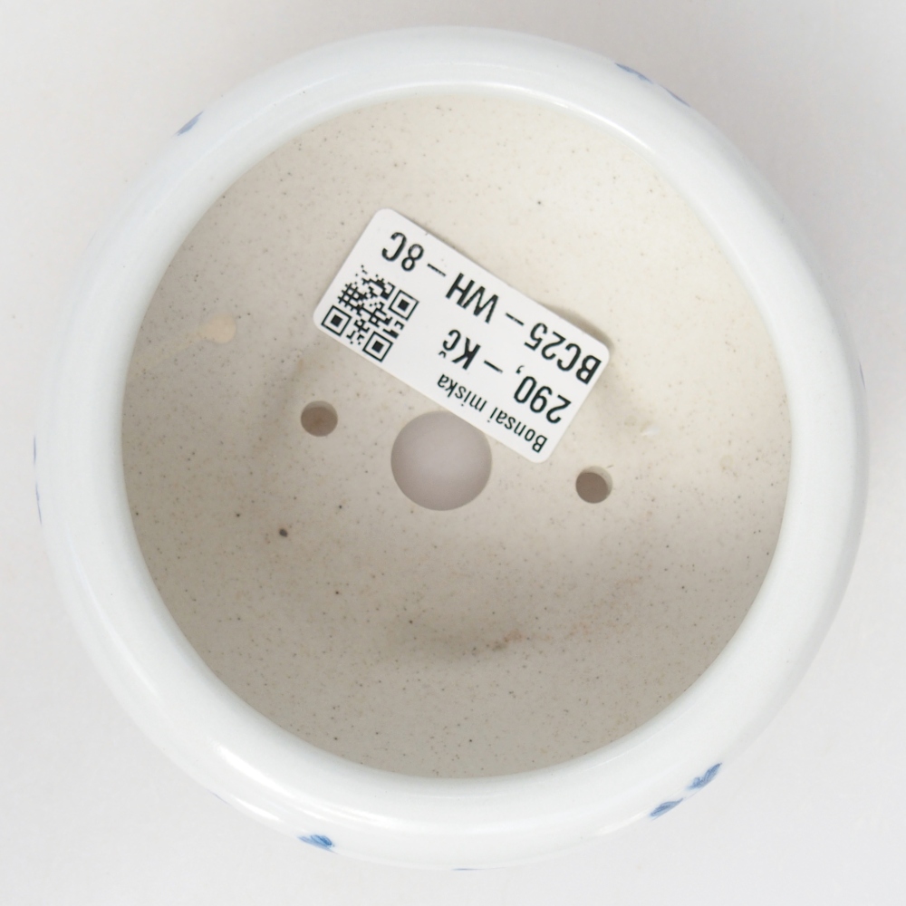 Bol à bonsaï en céramique 10 x 10 x 5 cm, couleur blanc