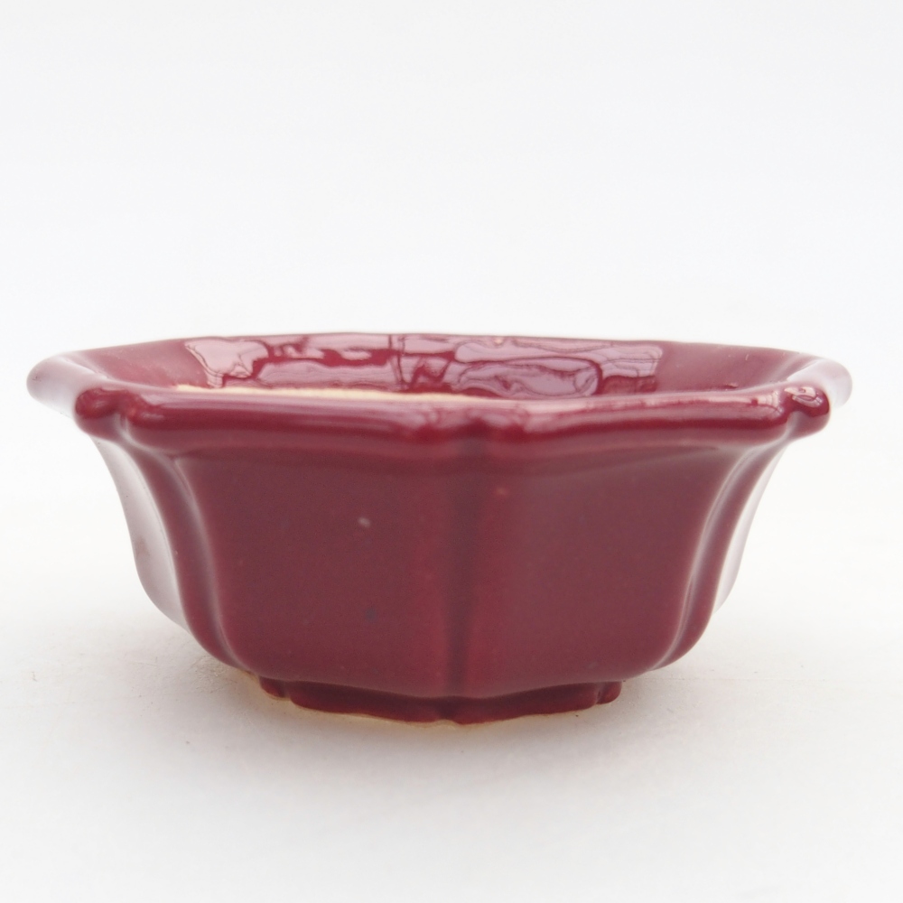 Mini bol bonsaï 6 x 6 x 2,5 cm, bordeaux
