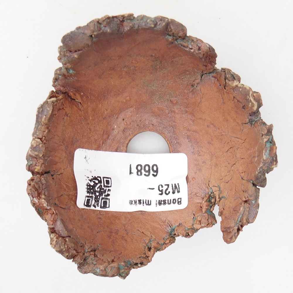 Coquille en céramique 7,5 x 7 x 4 cm , couleur verte