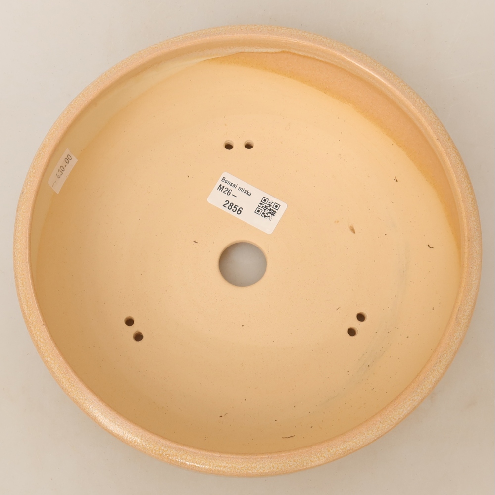 Pot à bonsaï en céramique 22,5 x 22,5 x 6,5 cm, couleur beige