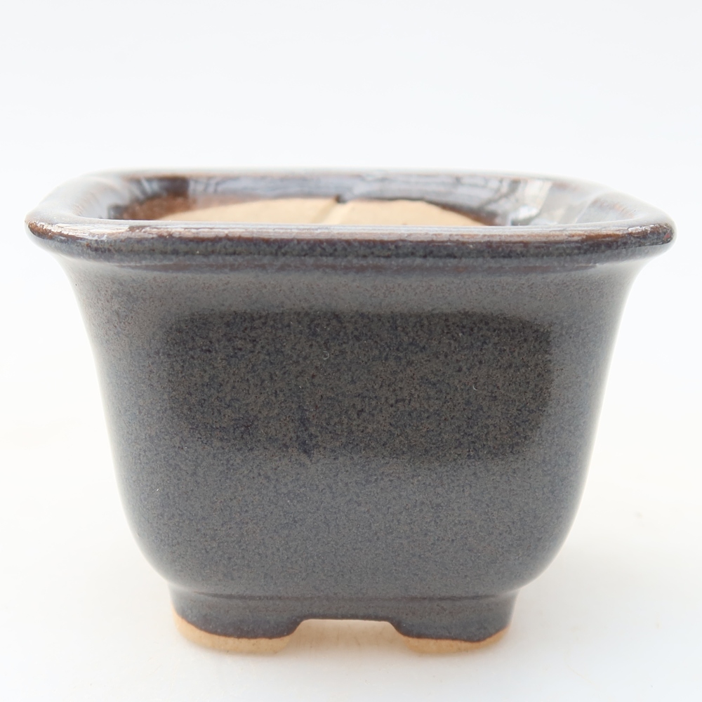 Pot à bonsaï en céramique 6,5 x 6,5 x 5 cm, couleur grise