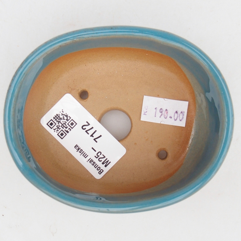 Bol à bonsaï en céramique 9,5 x 7,5 x 3,5 cm, couleur bleu