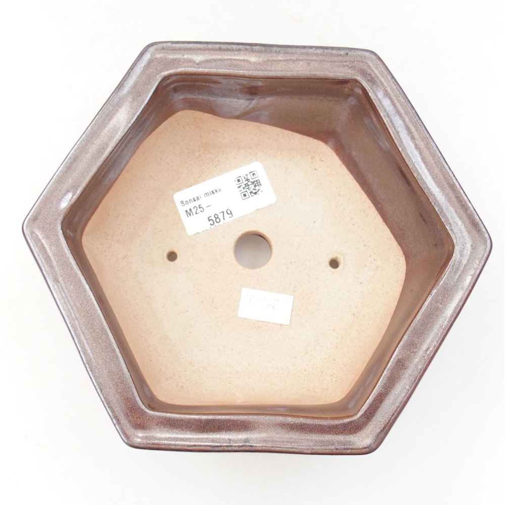 Bol à bonsaï en céramique 22 x 17 x 5 cm, vert