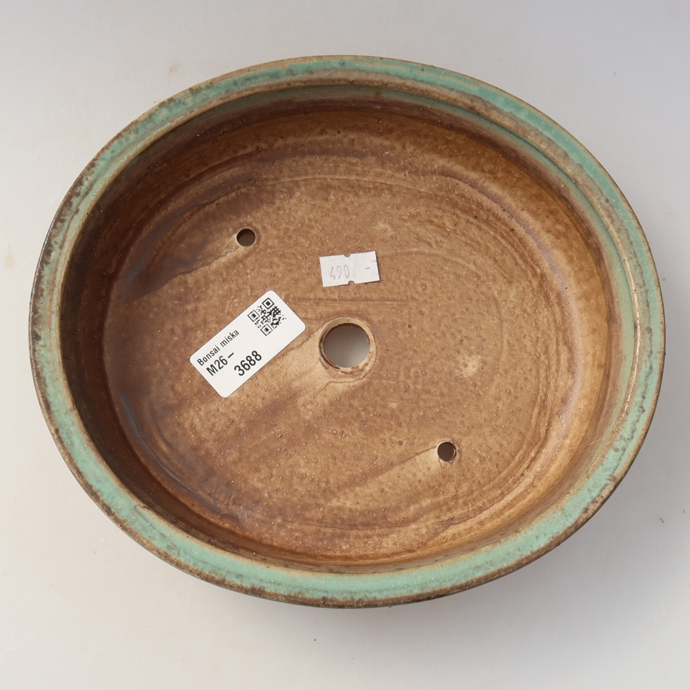Bol à bonsaï en céramique 21 x 19 x 5 cm, vert