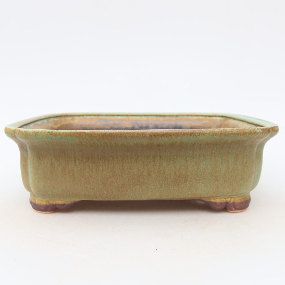 Pot à bonsaï en céramique 20 x 17,5 x 6 cm, couleur verte