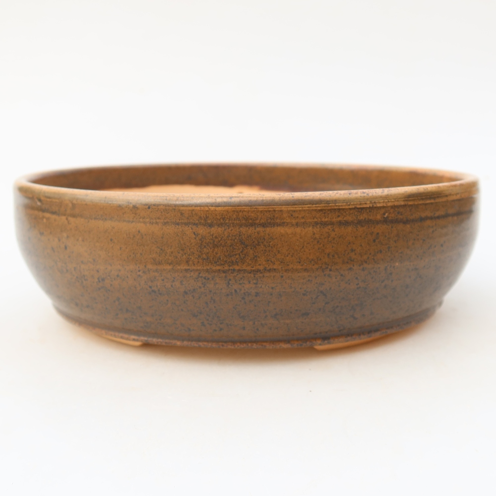 Pot à bonsaï en céramique 19 x 19 x 5,5 cm, couleur marron