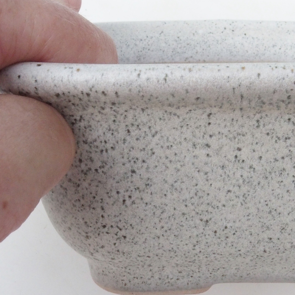 Coupe bonsaï H37 - 14,5 x 13 x 6,5 cm - beige