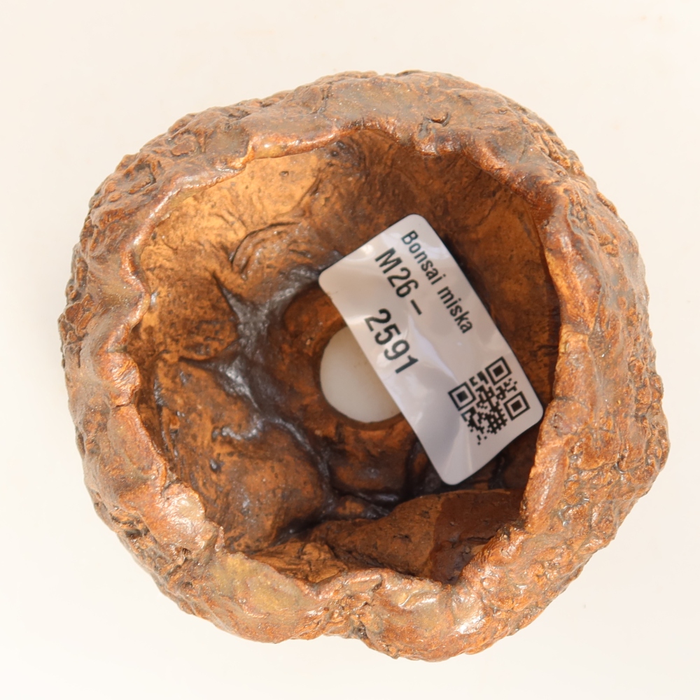 Coquille en céramique  7 x 7 x 5,5 cm, couleur marron
