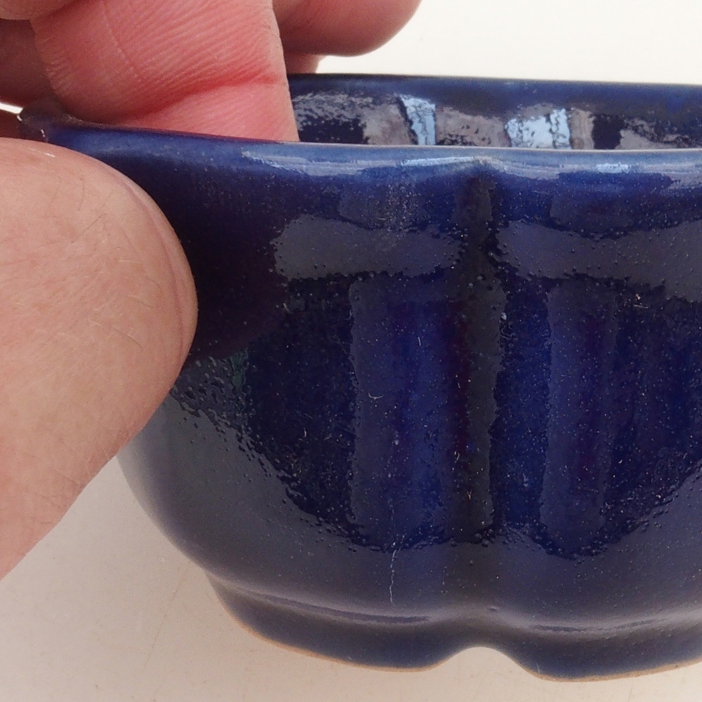 Coupe bonsaï H95 - 7,5 x 7,5 x 4 cm - bleu