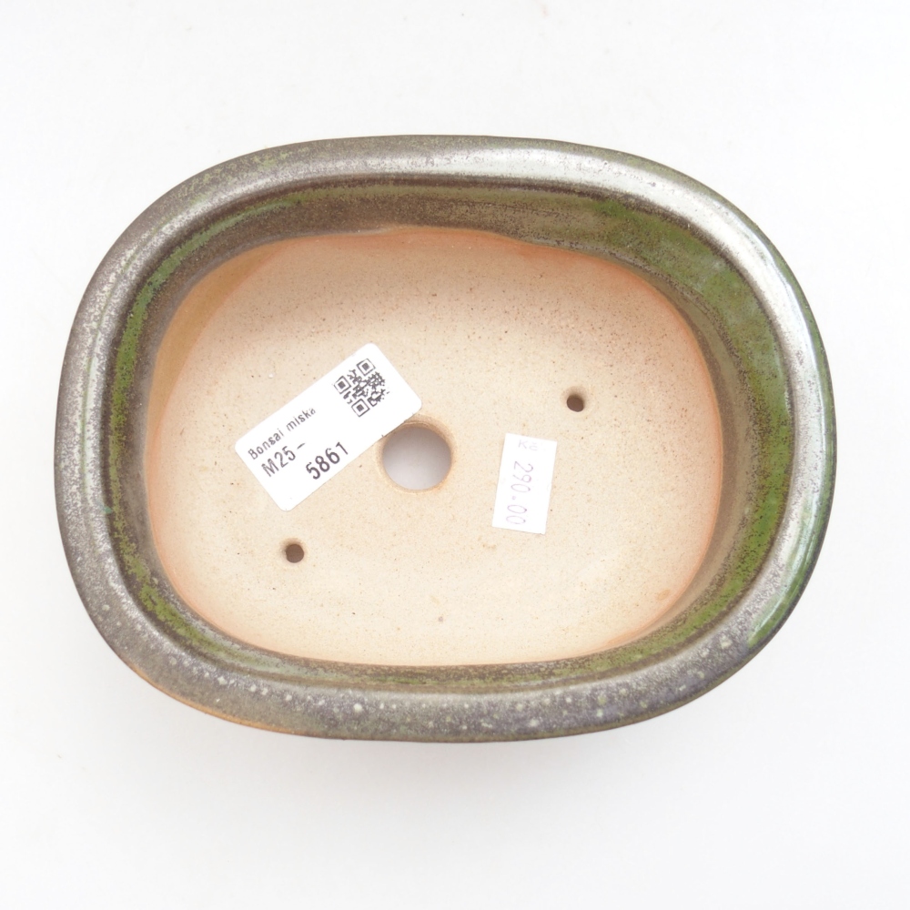 Bol à bonsaï en céramique 22 x 17 x 5 cm, vert