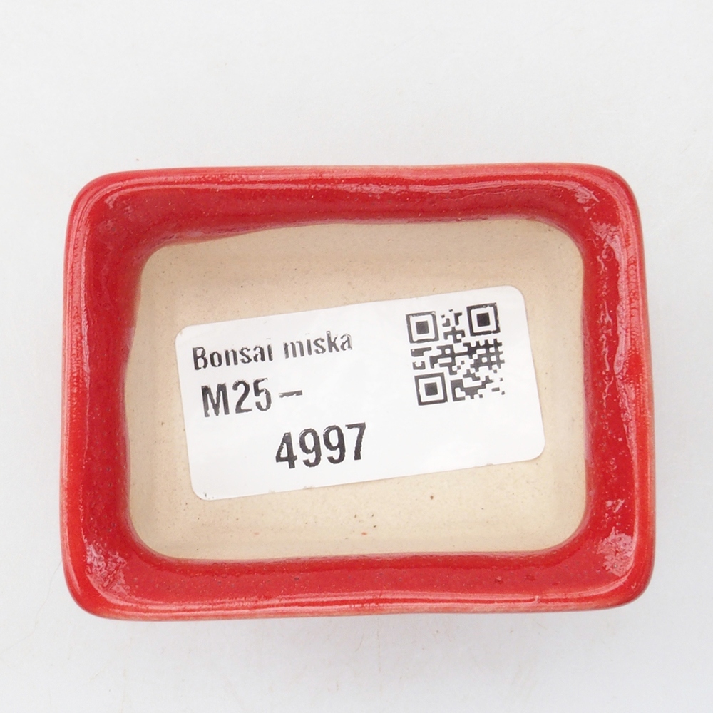 Mini bol bonsaï 5,5 x 4 x 2,5 cm, couleur rouge