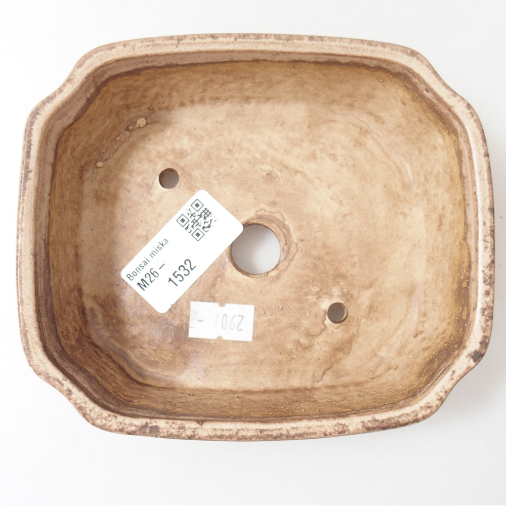 Bol à bonsaï en céramique 14 x 12 x 4,5 cm, couleur beige