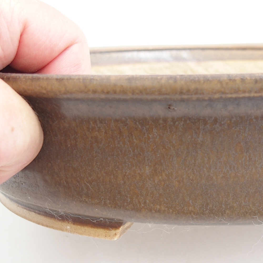 Bol à bonsaï en céramique 25,5 x 23 x 5,5 cm, brun