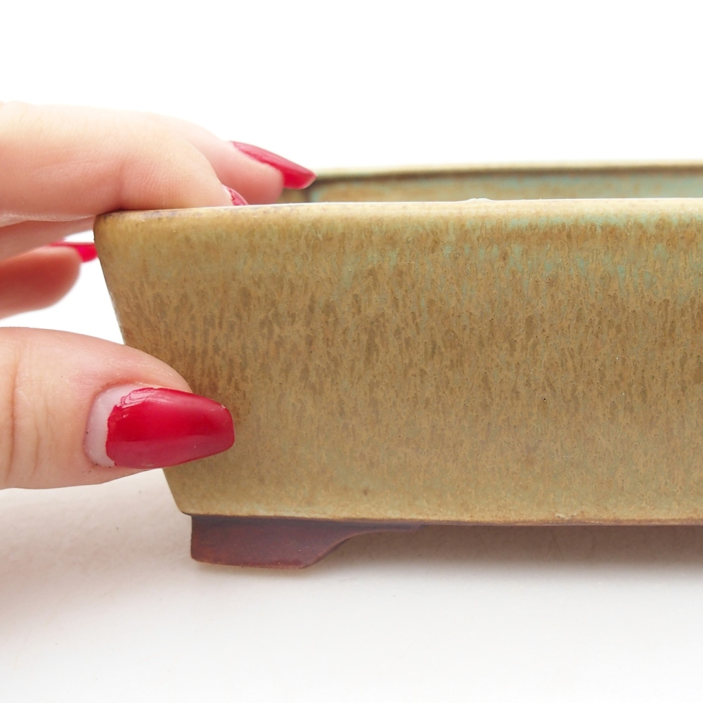 Bol à bonsaï en céramique 15 x 12 x 5 cm, vert