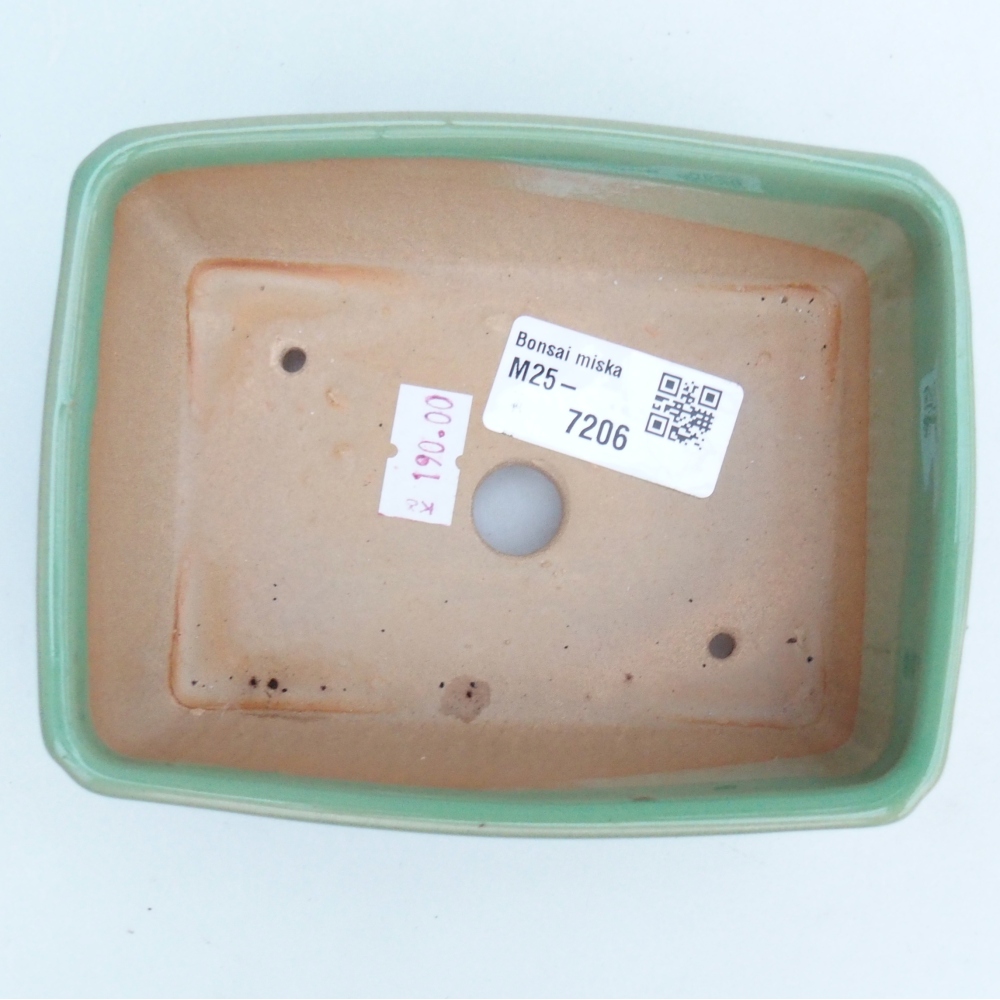 Bol à bonsaï en céramique 13 x 10 x 5 cm, vert