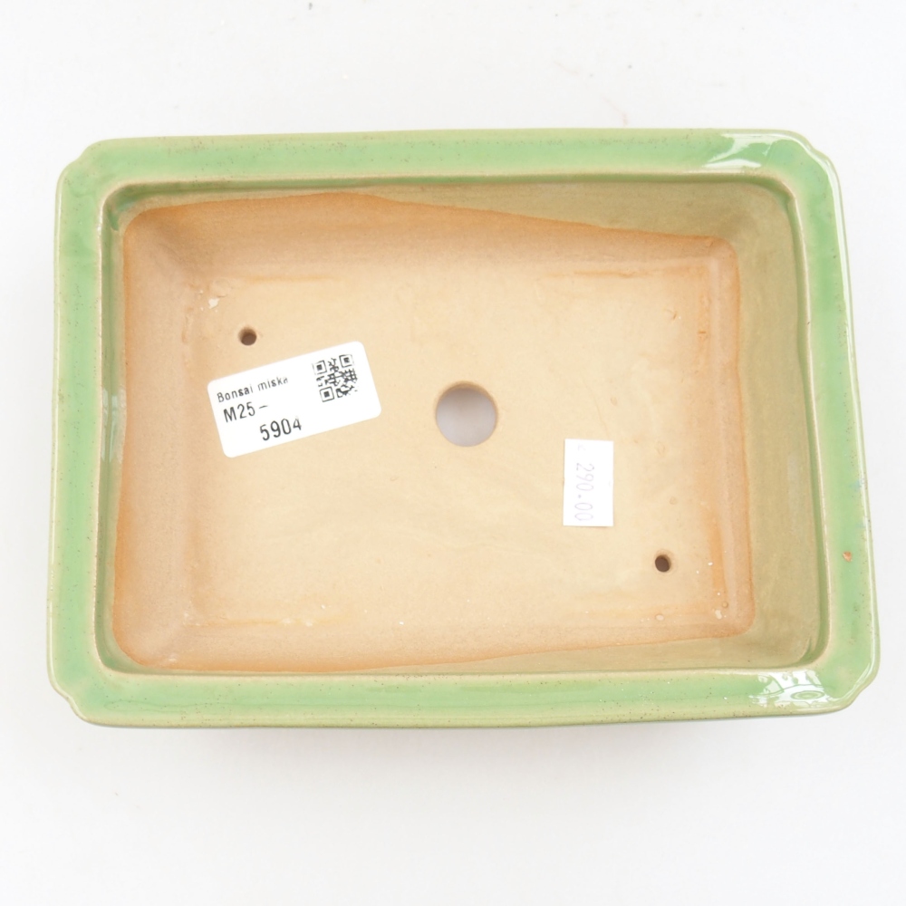 Bol à bonsaï en céramique 22 x 17 x 5 cm, vert