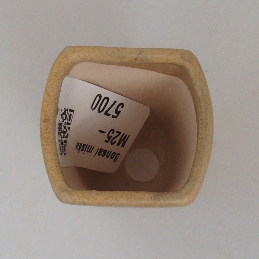 Mini bol à bonsaï 3,5 x 3 x 5 cm, brun